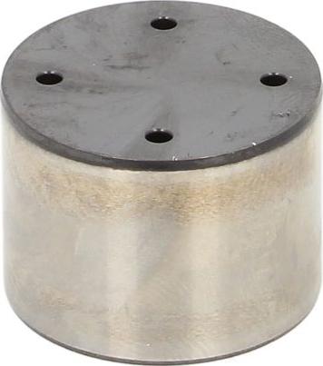 INA 711030810 - Plunger, high pressure pump dev.europarts.cy
